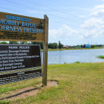 An aerial adventure park, featuring five ziplines, is scheduled to be installed at Oldsmar's Mobbly Bayou Preserve this spring.