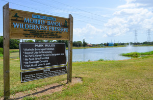 An agreement between the City and an outdoor adventure concession company will see an aerial park, featuring five ziplines, installed at Oldsmar's Mobbly Bayou Preserve,
