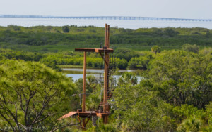 Clearwater's Courtney Campbell Causeway can be seen in the distance from the top of one of the zipline park platforms.