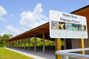 The new Environmental Education Center at Oldsmar's Mobbly Bayou Wilderness Preserve.