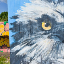 Oldsmar kicks off annual “Show Us Your Oldsmar” photo contest