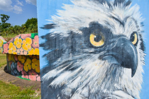 Artwork like these murals at Mobbly Bayou Preserve is few and far between in Oldsmar, leading the City Council to renew calls for a dedicated arts council in the city.
