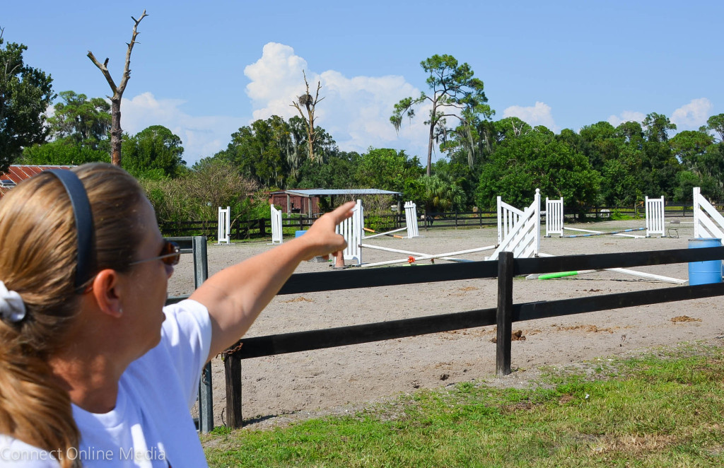 Mary Weiss points out an eagle's nest that sits right on the edge of the proposed Oldsmar trace subdivision.
