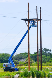 Workers prepare Oldsmar's zipline park for its grand opening on Friday, June 3.