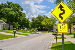 Peppertree Drive Oldsmar