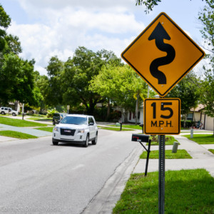 Peppertree Drive Oldsmar