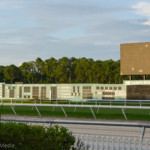 Tampa Bay Downs.