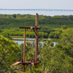 The zipline adventure park opened in Oldsmar last month.