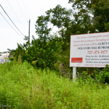 Townhome community planned for southwest entrance of Oldsmar