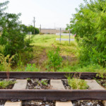 The CSX railroad tracks bisecting Burbank Road in Oldsmar.