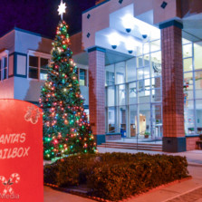 Holiday events heat up in Oldsmar this week