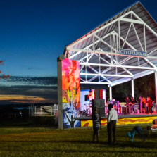 Oldsmar’s first public art project unveiled on Veterans Day