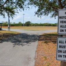 Artist approved for Oldsmar’s latest public art project at Sheffield Park