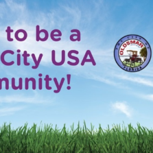 Oldsmar designated a 2017 Playful City USA