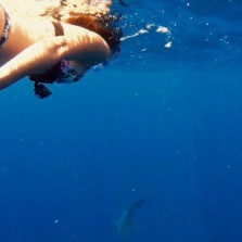 Oldsmar City Council member Gabby McGee swims with bull sharks