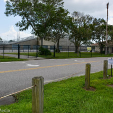 Oldsmar Sports Complex Master Plan project enters initial stages