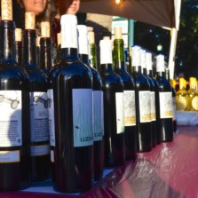 16th annual Safety Harbor Wine Festival this Saturday, Nov. 4 from 5-11 p.m.
