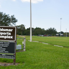 Oldsmar scores partnership with Tampa Bay Lightning